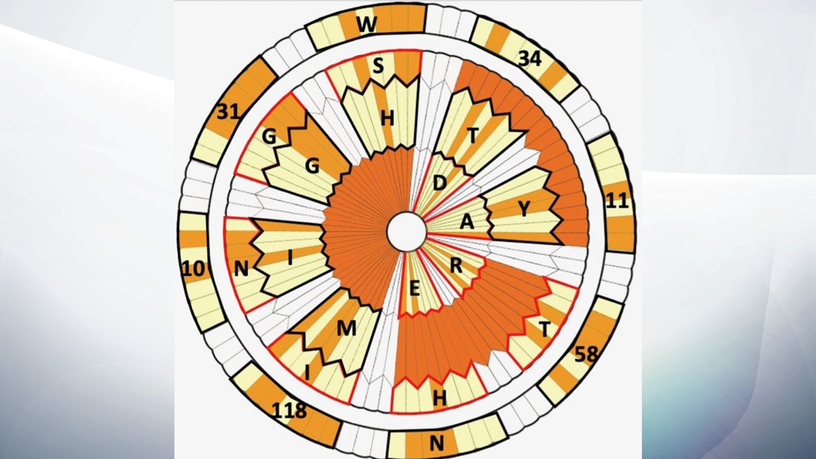 Mars landing Space enthusiasts reveal hidden message on NASA