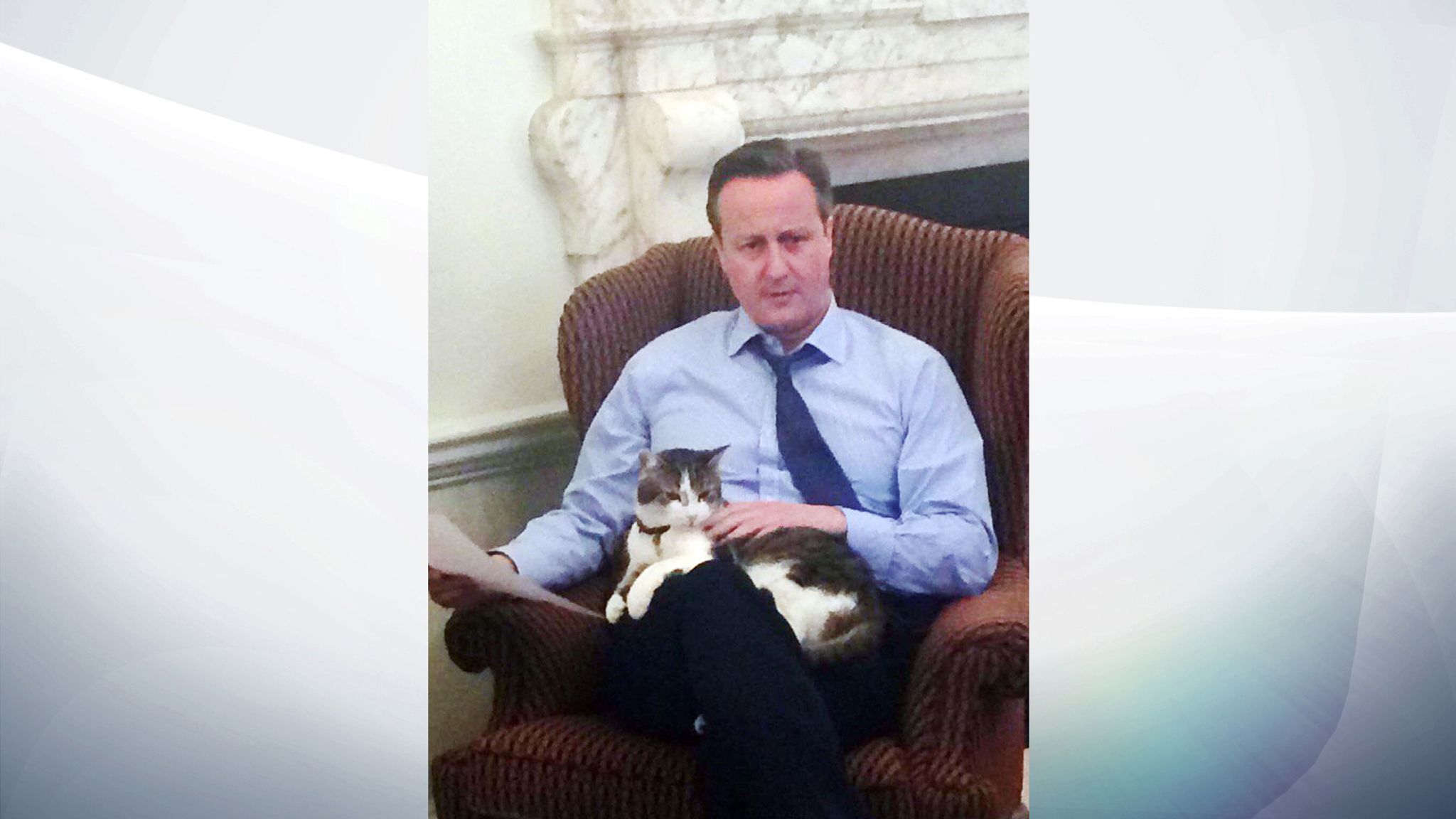 Larry the cat celebrates 10 years at 10 Downing Street UK News Sky News