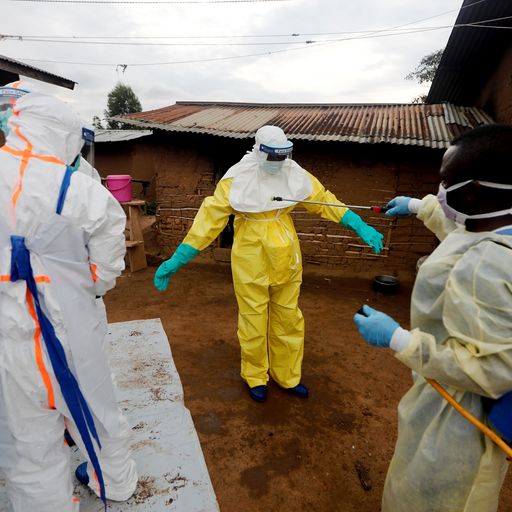 Guinea: First Case Of Ebola-like Marburg Virus Detected In West Africa ...