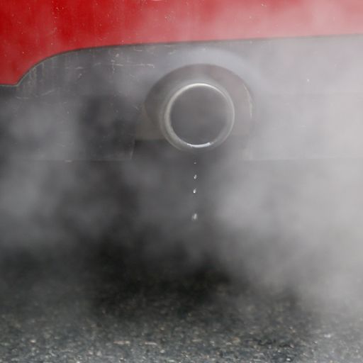 Climate crisis: 