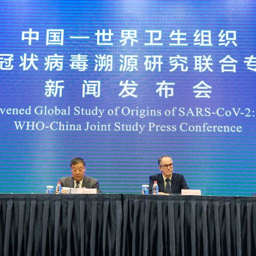Analysis: WHO team leaves China with three theories about virus origins