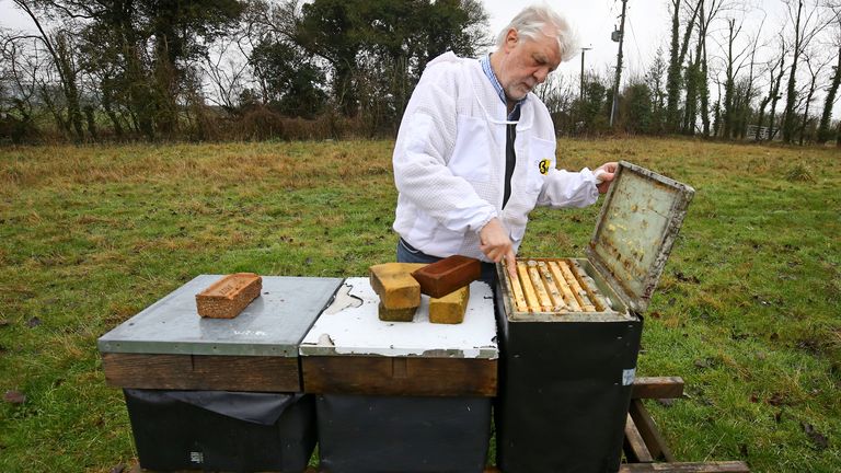 Patrick Murfet wants to import the baby Italian bees for his Kent business and to help farmers pollinate valuable crops