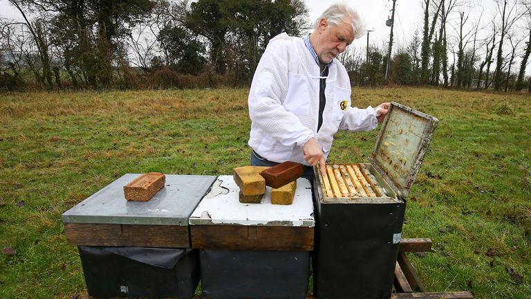 Patrick Murfet veut importer les bébés abeilles italiennes pour son entreprise du Kent et aider les agriculteurs à polliniser les récoltes précieuses