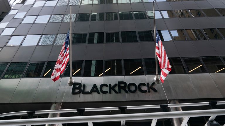 BlackRock, the world&#39;s largest asset manager, is based in New York. Pic: AP