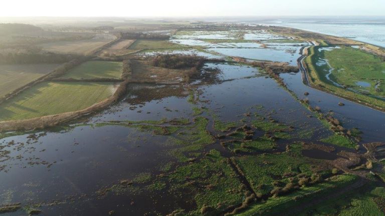 These fields in Norfolk have been rewilded to protect freshwater species