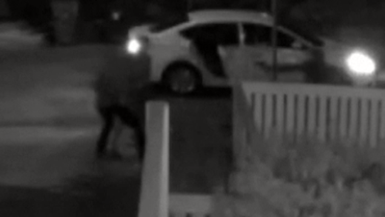 دوربین مدار بسته همچنان که اسلحه به سمت رایان فیشر نشانه رفته است ، که هنگام راه رفتن با سگهای لیدی گاگا در هالیوود مورد حمله قرار گرفت و مورد اصابت گلوله قرار گرفت.