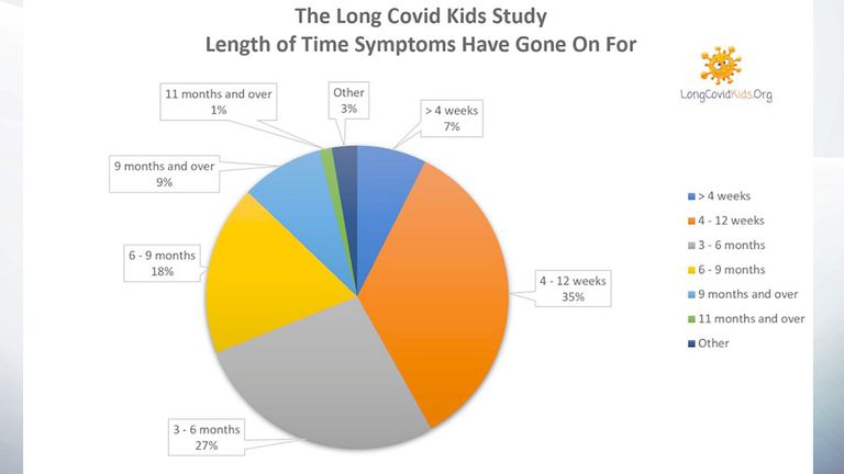 El Long COVID Kids Support Group encuestó a más de 350 padres de niños con la enfermedad.  Imagen: Long COVID Kids