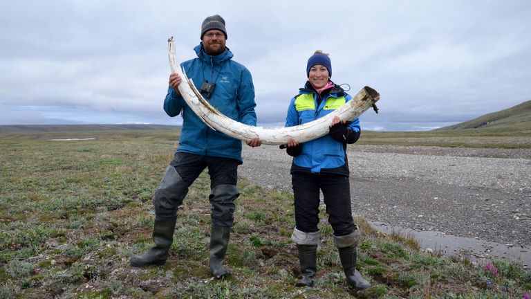 Palaeontologists Love Dalen and Patricia Pecnerova with a mammoth tusk on Wrangel Island