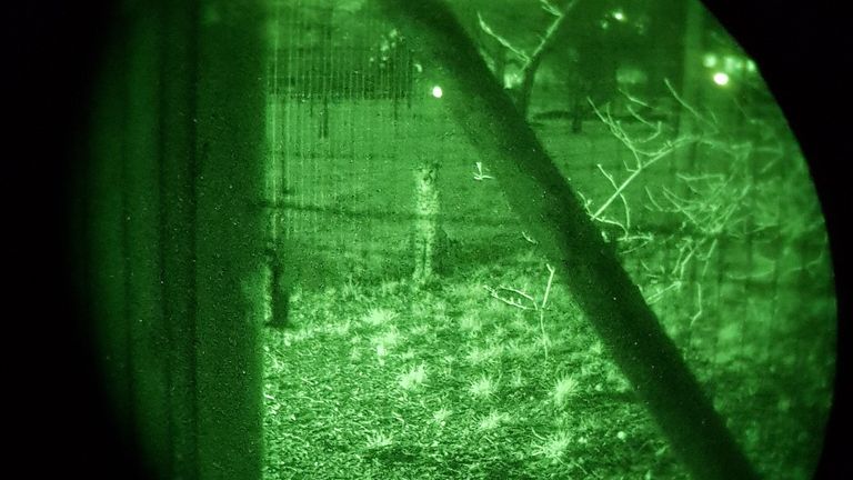 Night vision video shows officers trying to locate the suspects at Marwell Zoo