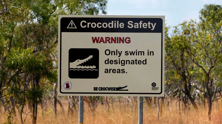 Crocodiles are a common sight in Queensland&#39;s waterways. Pic: AP