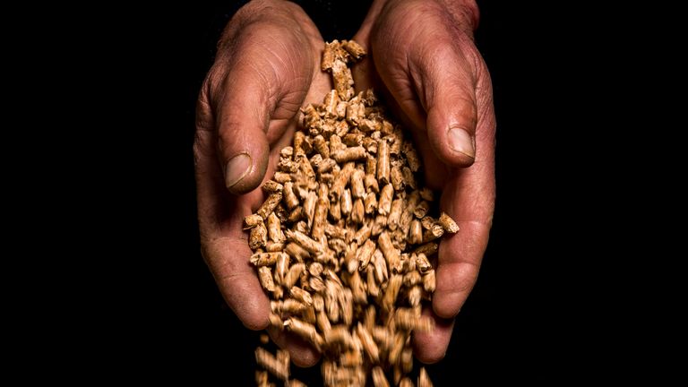 Poultry farmer Ronnie Wells holding pellets at his farm just outside Moira, Co. Down. The pellet are used to fuel a biomass boiler purchased with the aid of the Northern Irish version of the Renewable Heat Incentive. A public inquiry into the Stormont government's botched handling of the scheme is due to publish its report tomorrow. PA Photo. Picture date: Wednesday March 11, 2020. See PA story ULSTER RHI. Photo credit should read: Liam McBurney/PA Wire