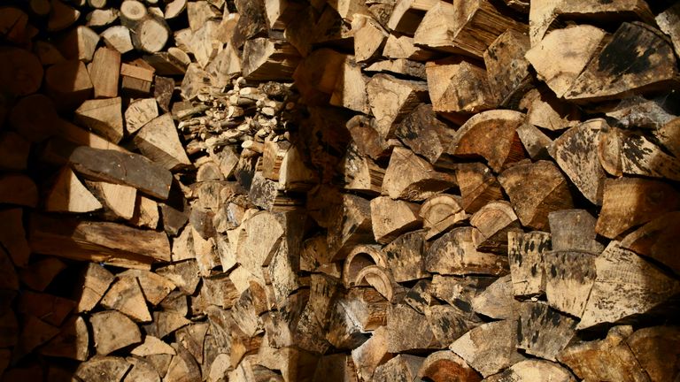 illustrative, chopped wood, biomass Photo/Libor Sojka (CTK via AP Images)