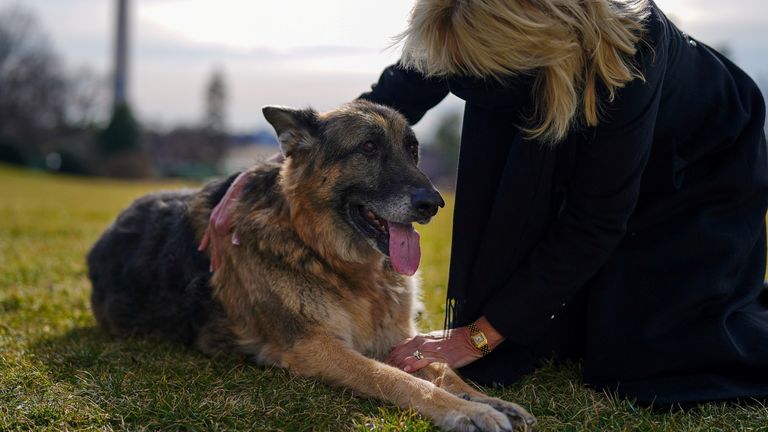 First Lady Jill Biden with Champ after he arrived at the White House in January