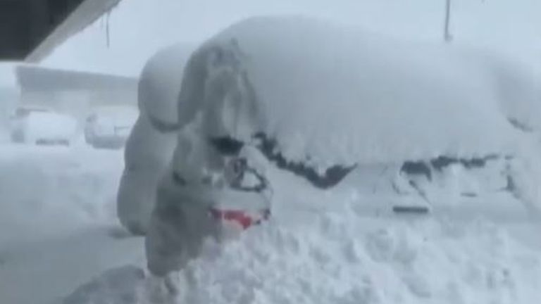 Police patrol cars are engulfed in snow in Colorado