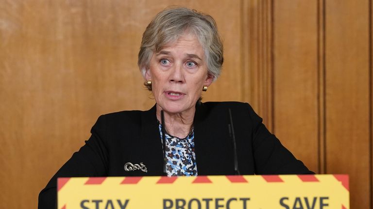 Deputy Chief Scientific Adviser, Professor Dame Angela McLean, during a media briefing in Downing Street, London, on coronavirus (COVID-19)