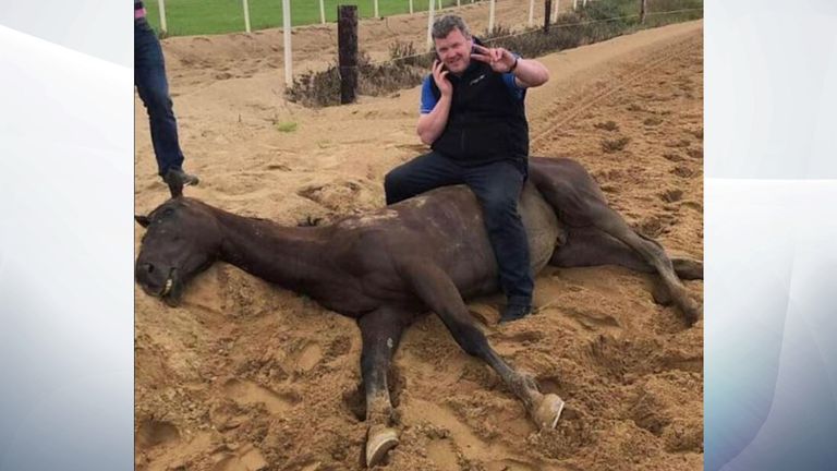 Entraîneur Gordon Elliott