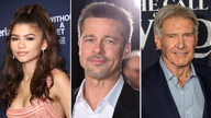 Zendaya, Brad Pitt, Harrison Ford are among those handing out awards this year. Pics: zz/John Nacion/STAR MAX/IPx and Jordan Strauss/Invision and C3396/picture-alliance/dpa via AP