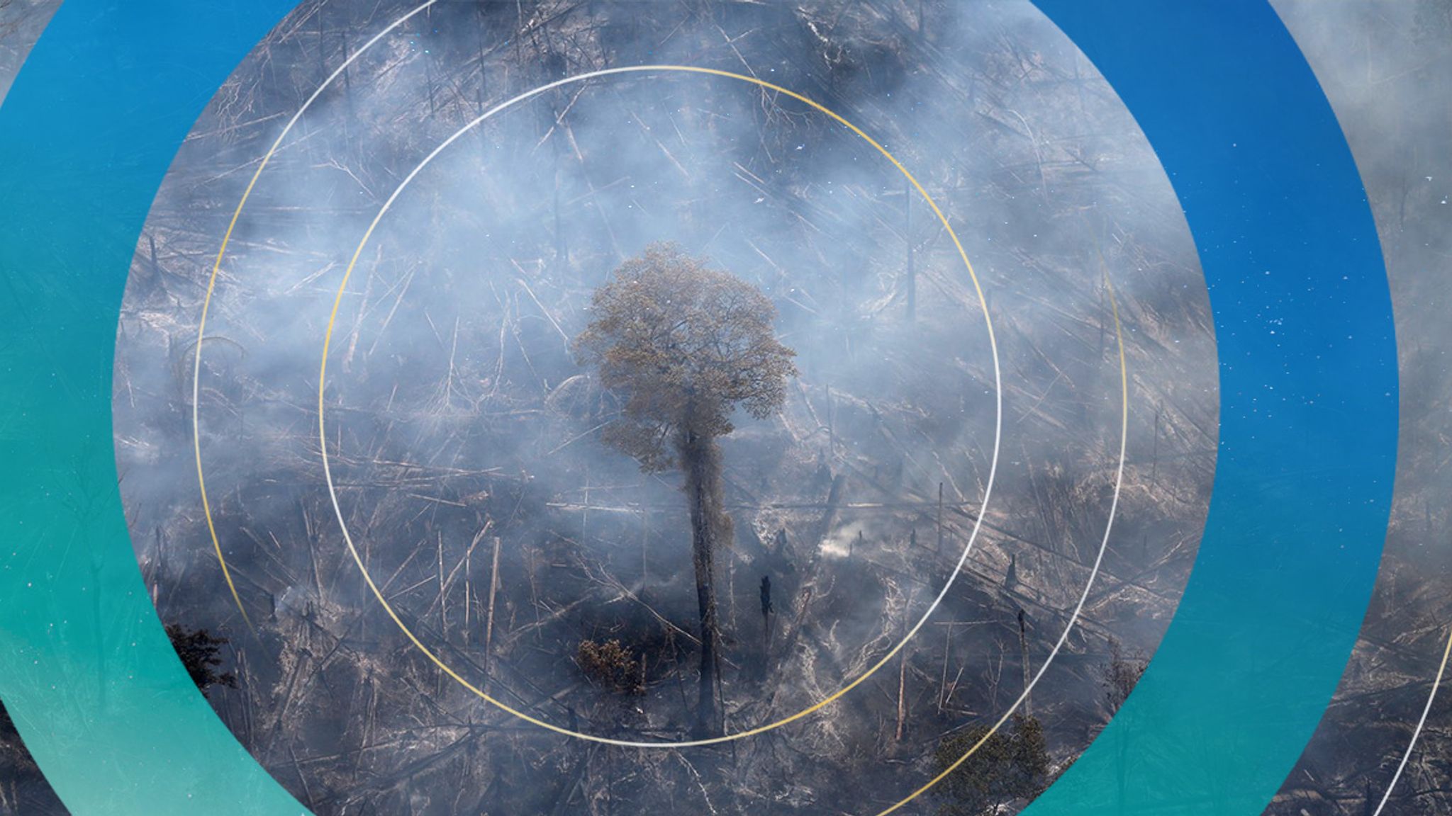 Against All Odds A Success Story In The Fight Against Amazon Deforestation - oh9ew5c