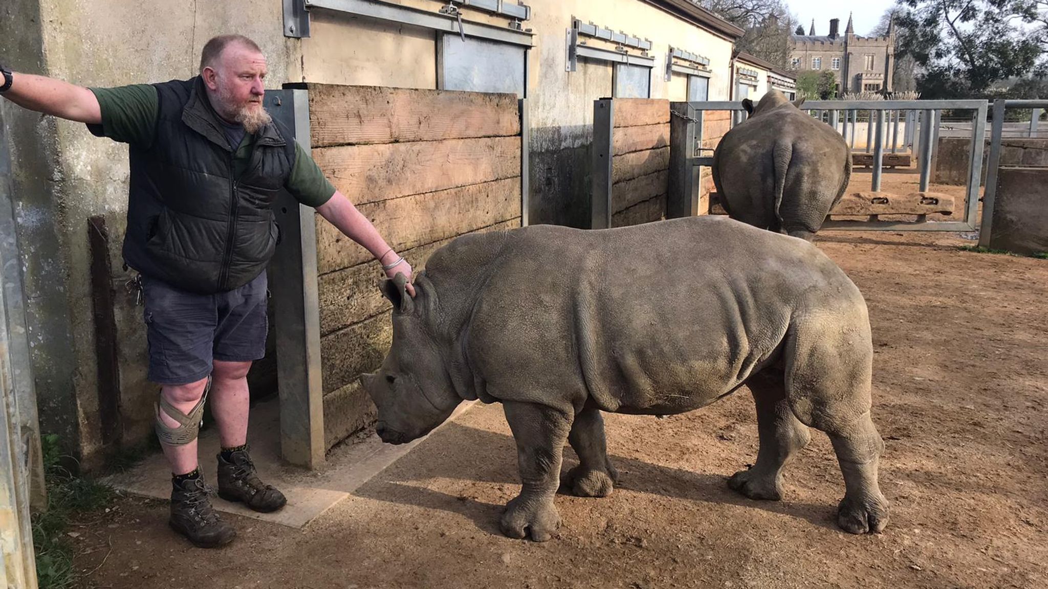 COVID-19: Zoos, safari parks and their animals prepare to reopen on 12