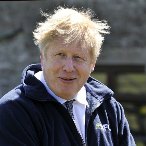 Johnson says 'you're out of your mind' if you think Dyson texts were 'dodgy'