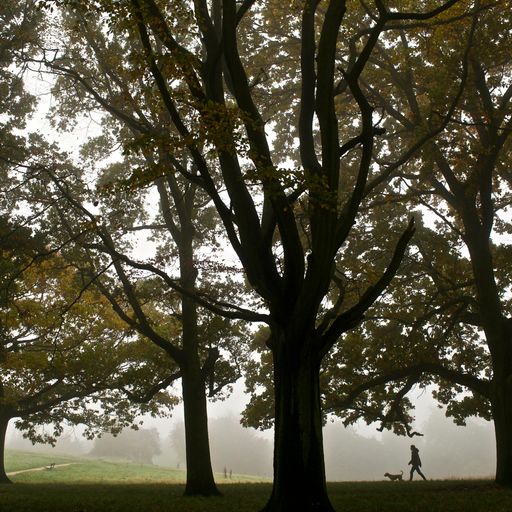 See the latest Paste BN UK forecast