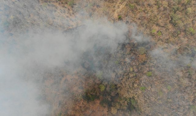 Thailand's fight against toxic wildfires that kill tens of thousands every year - Vimarsana News