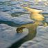 COP26 conference 'last, best opportunity to get real' on the climate, says John Kerry