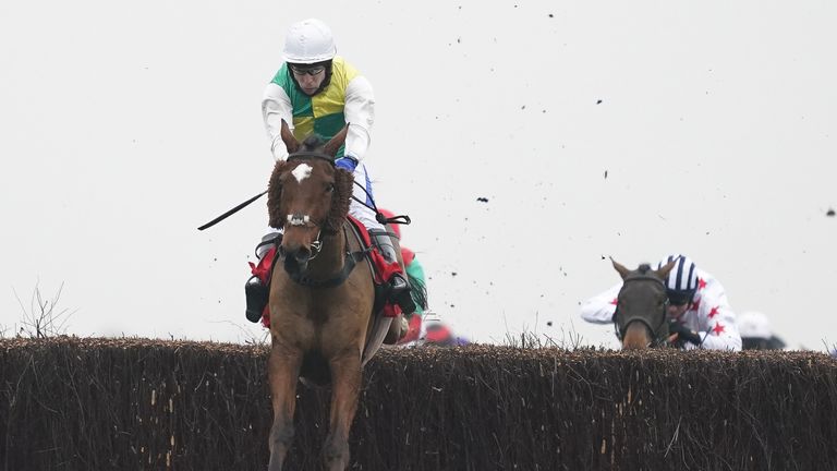 Cloth Cap ridden by Tom Scudamore clears the last to win The Ladbrokes Trophy Chase at Newbury Racecourse.
