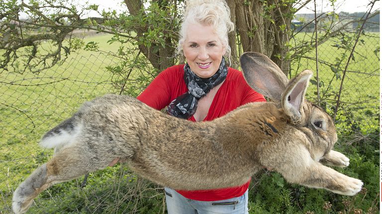 Darius pictured with his owner Annette Edwards in 2015. Pic: Damien McFadden/ANL/Shutterstock