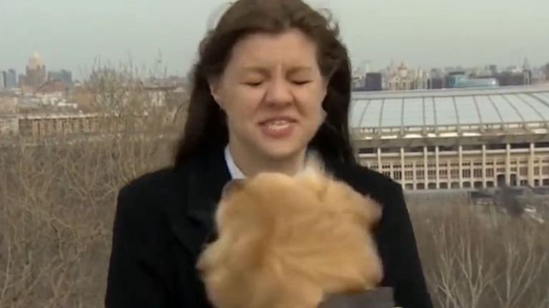 Dog steals microphone during live weather report - and runs off with it!