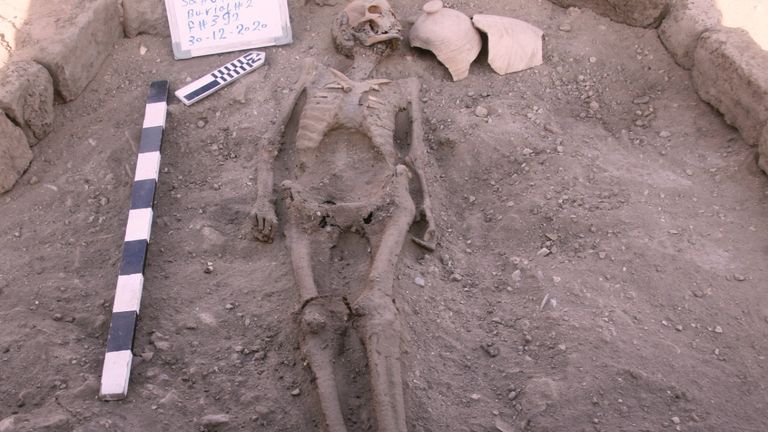 A skeletal human remain is seen in Luxor, Egypt, in this undated handout photo. Zahi Hawass Center for Egyptology and High Council of Antiquities Joint Mission/Handout 