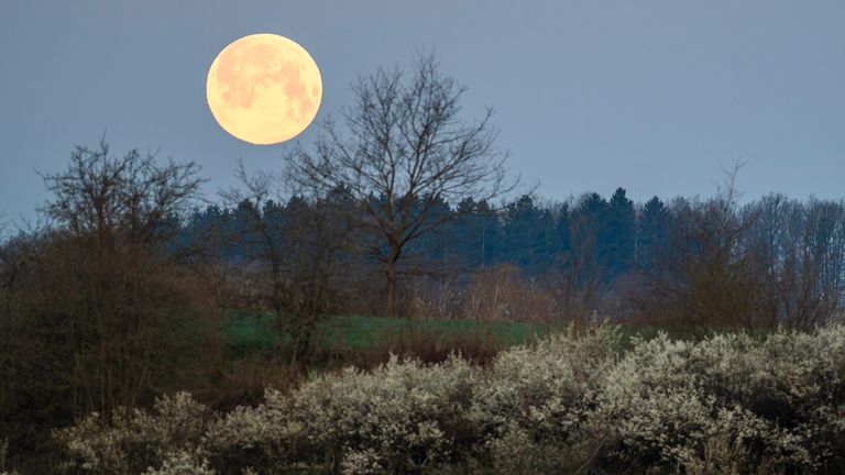 Gigantyczny księżyc wznosi się nad drogą krzyżową w Rimovie, niedaleko سيس esk Bud ب jovice w Czechach.  Fot: AP