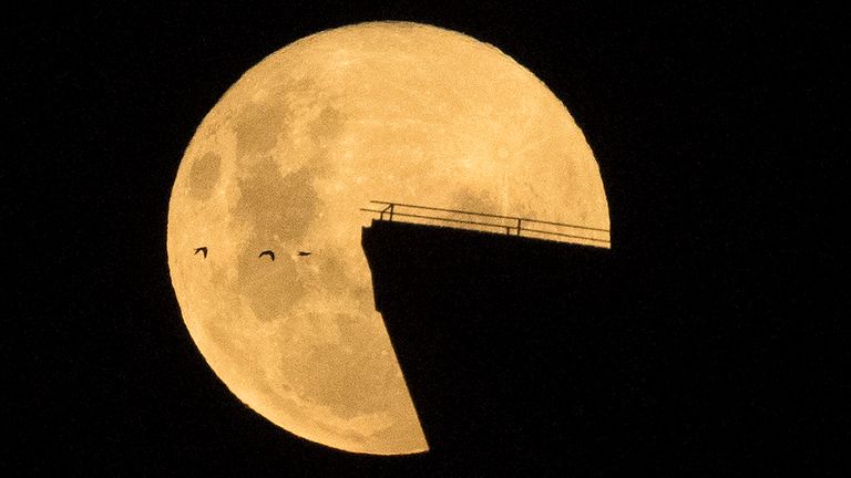 Les oiseaux volent alors que la lune se lève au-dessus de l'Opéra de Sydney.  Pic: AP