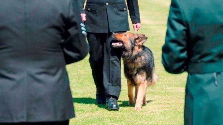 The dog has received an award for the chase. Pic: British Transport Police