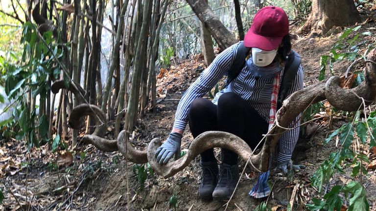 Protective equipment is essential in the forests