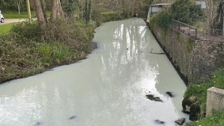 A river in Wales ran white after a milk tanker overturned and spilled its contents into the water.