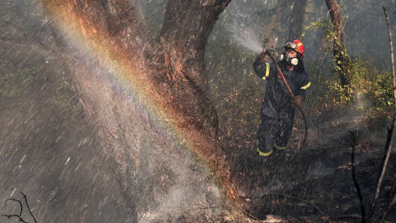 Villages evacuated after major forest fire in conservation area near ...