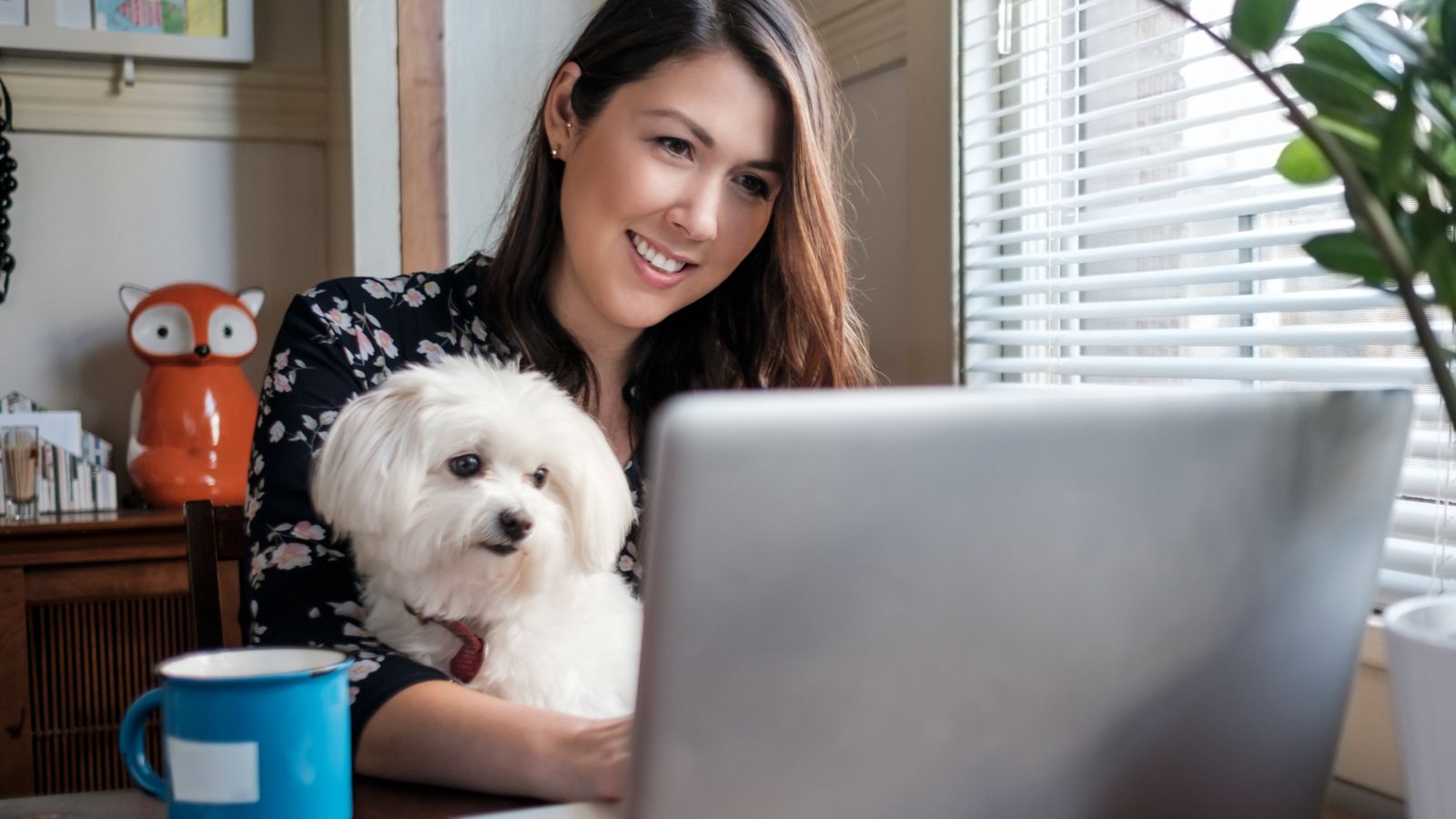 Pets At Home store sales top £1bn after pandemic boost in animal