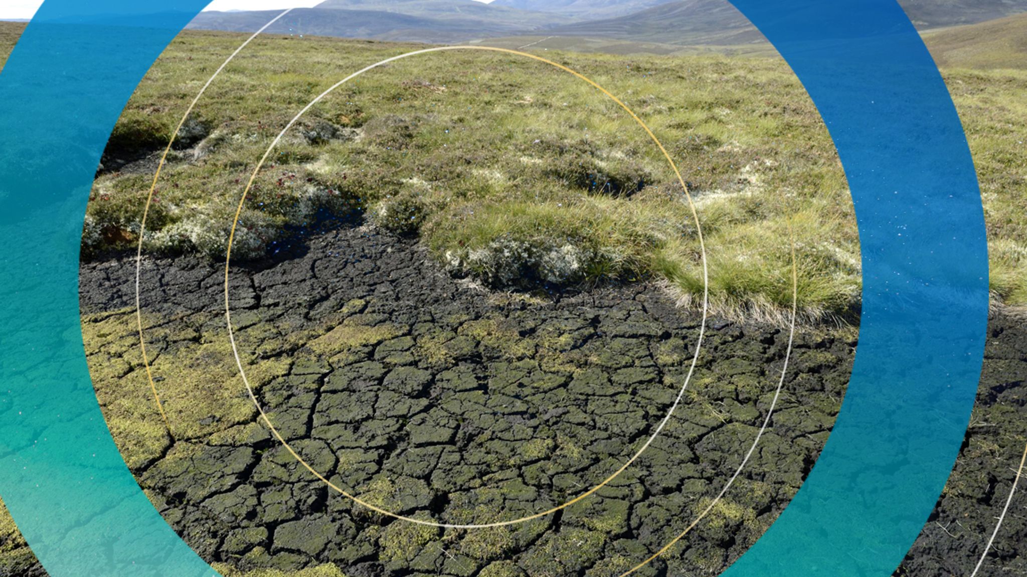 Peat compost ban by environmentalists in fight against climate