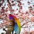 The UK could see the hottest day of the year so far this bank holiday weekend