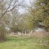 Thousands of trees will be planted as part of the project
