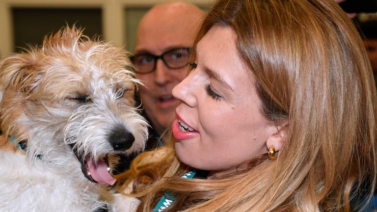 Carrie Symonds - and even Dilyn the dog - did not escape Mr Cummings&#39;s wrath