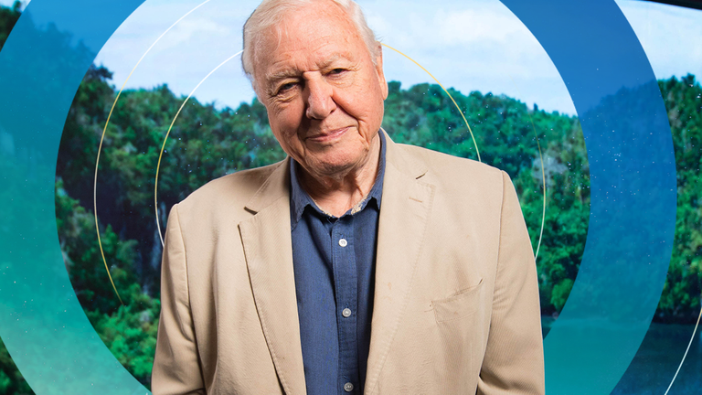 Sir David Attenborough will be people&#39;s advocate at the summit