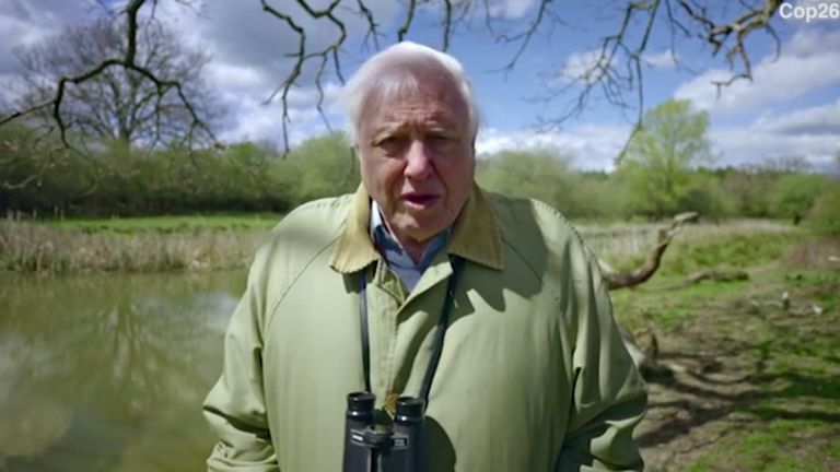 Sir David Attenborough will be people&#39;s advocate at the November summi