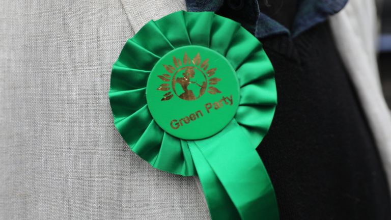Green Party rosette
