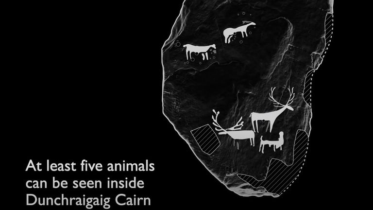 Historic England has created a graphic to show where the animals can be seen on the rock