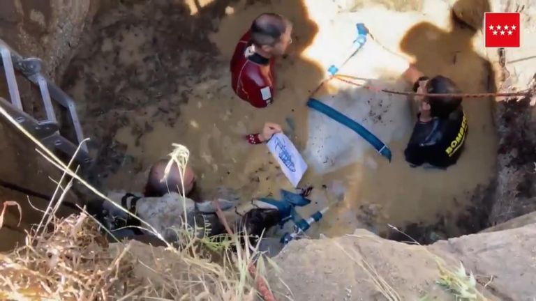 Firefighters rescued a horse that had fallen into a pit of water in Valdemaqueda, Spain.