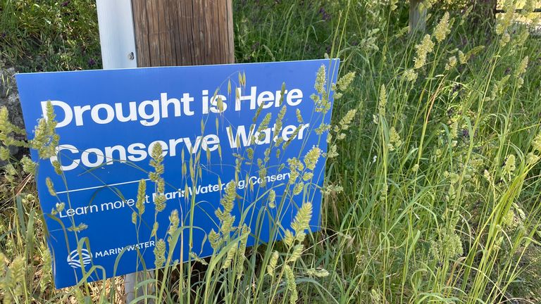 People are being told not to wash their cars