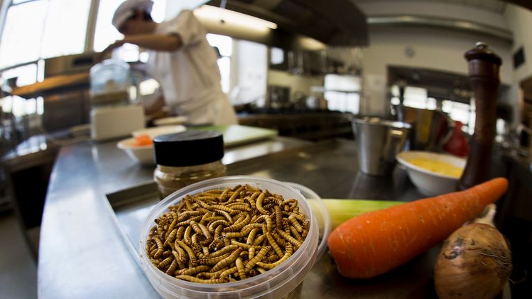Wander Alblas, 18, student cook at the Rijn IJssel Vakschool prepares a Tjap Choi dish made of mealworms and locusts at the Cooking school at the University of Wageningen April 4, 2014. REUTERS/Michael Kooren (NETHERLANDS - Tags: SOCIETY FOOD)