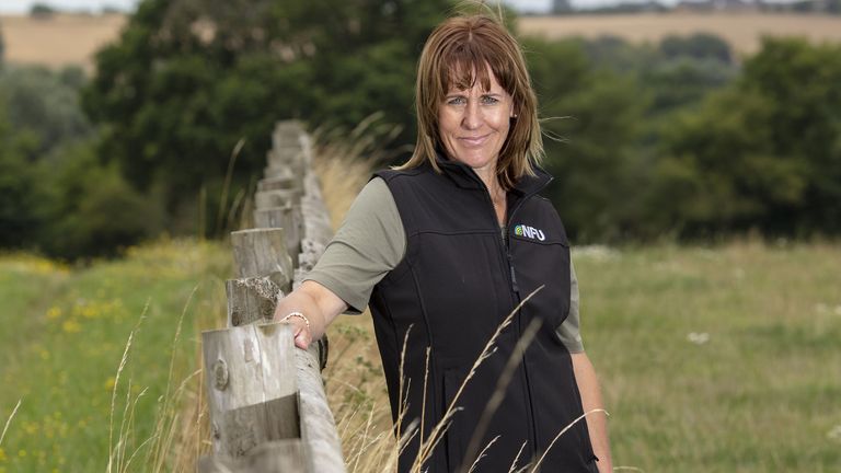Minette Batters is the President of the National Farmers&#39; Union of England and Wales